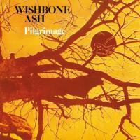 Виниловая пластинка Wishbone Ash / Pilgrimage (1LP)