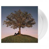Виниловая пластинка Slowthai / Tyron (Clear Vinyl)(2LP)