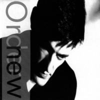 Виниловая пластинка New Order / Low-Life (LP)