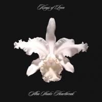 Виниловая пластинка Kings Of Leon / Aha Shake Heartbreak (2LP)