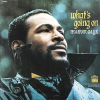 Виниловая пластинка Marvin Gaye / What's Going On (2LP)