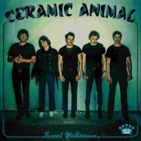 Виниловая пластинка Ceramic Animal / Sweet Unknown (1LP)