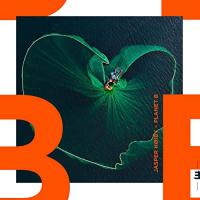 Виниловая пластинка Jasper Hoiby / Planet B (1LP) Виниловая пластинка Jasper Hoiby / Planet B (1LP)