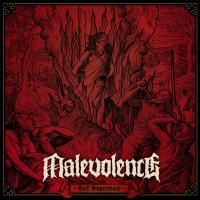 Виниловая пластинка Malevolence / Self Supremacy (coloured) (1LP)