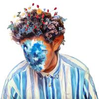 Компакт-диск Hobo Johnson / The Fall Of Hobo Johnson (CD)