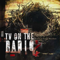 Виниловая пластинка Tv On The Radio / Return to cookie mountain (1LP)