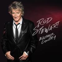 Компакт-диск Rod Stewart / Another Country (CD)