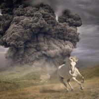 Виниловая пластинка White Buffalo / Year of the Dark Horse (1LP)
