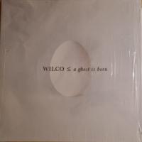 Виниловая пластинка Wilco / A Ghost Is Born (20th Anniversary) (2LP)