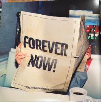 Виниловая пластинка Switchfoot / Forever Now (coloured) (1LP)
