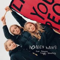 Виниловая пластинка HAHS HONEY / DEAR SOMEONE HAPPY SOMETHING (1LP)