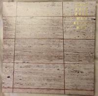 Виниловая пластинка DARK DARK DARK / WHO NEEDS WHO (1LP)