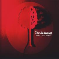 Виниловая пластинка The Subways / Young For Eternity (1LP)