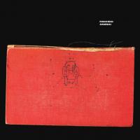 Виниловая пластинка Radiohead / Amnesiac (2LP)