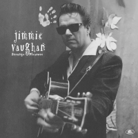 Виниловая пластинка Jimmie Vaughan / Strange pleasure (2LP)