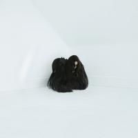 Виниловая пластинка Chelsea Wolfe / Hiss Spun (2LP)
