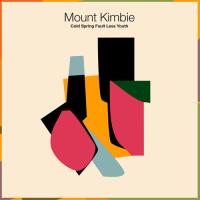Виниловая пластинка Mount Kimbie / Cold Spring Fault Less Youth (2LP)