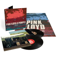Виниловая пластинка Pink Floyd / Pink Floyd At Pompeii - MCMLXXII (2LP) Виниловая пластинка Pink Floyd / Pink Floyd At Pompeii - MCMLXXII (2LP)