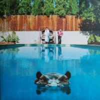 Виниловая пластинка Sparks / Hippopotamus (2lp)