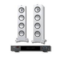 Комплект Интегральный стереоусилитель IOTAVX SA3 + Напольная акустика KEF Q750 WHITE