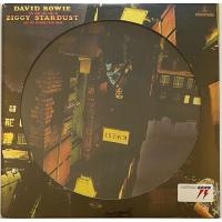 Виниловая пластинка DAVID BOWIE / THE RISE AND FALL OF ZIGGY STARDUST AND THE SPIDERS FROM MARS - PICTURE DISC (1LP)