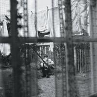 Виниловая пластинка Paul McCartney / Chaos And Creation In The Backyard (LP)