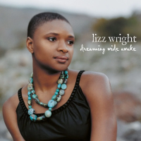 Виниловая пластинка Lizz Wright / Dreaming Wide Awake (1LP)