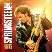 Виниловая пластинка SPRINGSTEEN BRUCE / THE SOUND OF THUNDER (CLEAR VINYL)