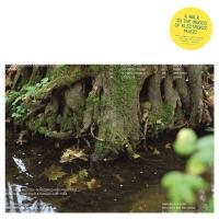 Виниловая пластинка Gosha Martynov / Imena Rek (1LP)