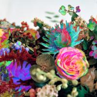 Виниловая пластинка Darkstar / News From Nowhere (2LP)