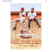 Виниловая пластинка Native Soul / Teenage dreams (1LP)