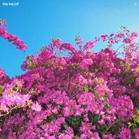 Виниловая пластинка PAU VALLVE / : ) (1LP)