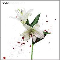 Виниловая пластинка The Cult / Hidden City (2LP)