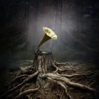 Компакт-диск Аквариум / Тор (CD)