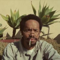 Виниловая пластинка Earl Sweatshirt / Live Laugh Love (1LP)