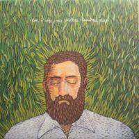 Виниловая пластинка IRON & WINE / OUR ENDLESS NUMBERED DAYS (1LP)