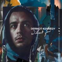 Виниловая пластинка Dermot Kennedy / Without Fear