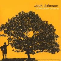 Виниловая пластинка Jack Johnson / In Between Dreams