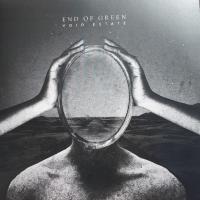 Виниловая пластинка END OF GREEN / VOID ESTATE (2LP BLACK VINYL) (2LP)