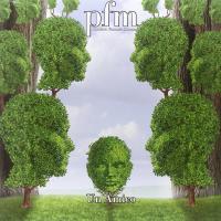 Виниловая пластинка Premiata Forneria Marconi / Un Amico (LP+CD)