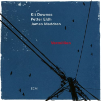 Компакт-диск Kit Downes / Vermillion (1CD)
