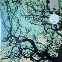 Виниловая пластинка Follakzoid / Follakzoid (galaxy green) (1LP)