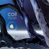 Виниловая пластинка Coil / Musick To Play In The Dark (Etched) (2LP)