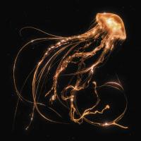 Виниловая пластинка Royal Blood / Back To The Water Below (Clear Vinyl, Indies Only) (LP)