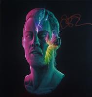 Виниловая пластинка Daniel Johns / Futurenever (1LP)