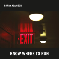 Виниловая пластинка Barry Adamson / Know where to run (coloured) (1LP)