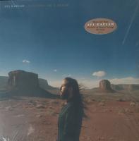 Виниловая пластинка Avi Kaplan / Floating On a Dream (1LP)