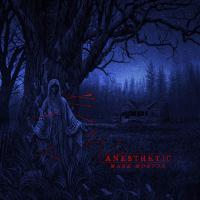 Виниловая пластинка Mark Morton / Anesthetic (LP)