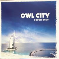 Виниловая пластинка Owl City / Ocean Eyes (White & Blue) (2LP)