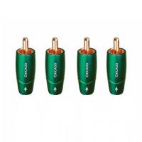 Коннектор AudioQuest Chicago RCA (4)